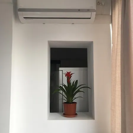 Take * ティミショアラ
